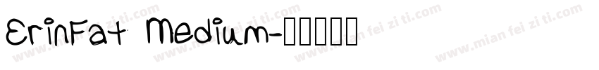 ErinFat Medium字体转换